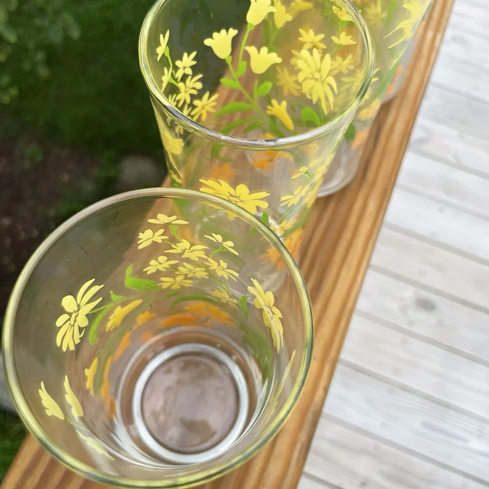 Vintage Hummingbird Floral Drinking Glasses Set 4 Yellow Orange Retro Tumblers